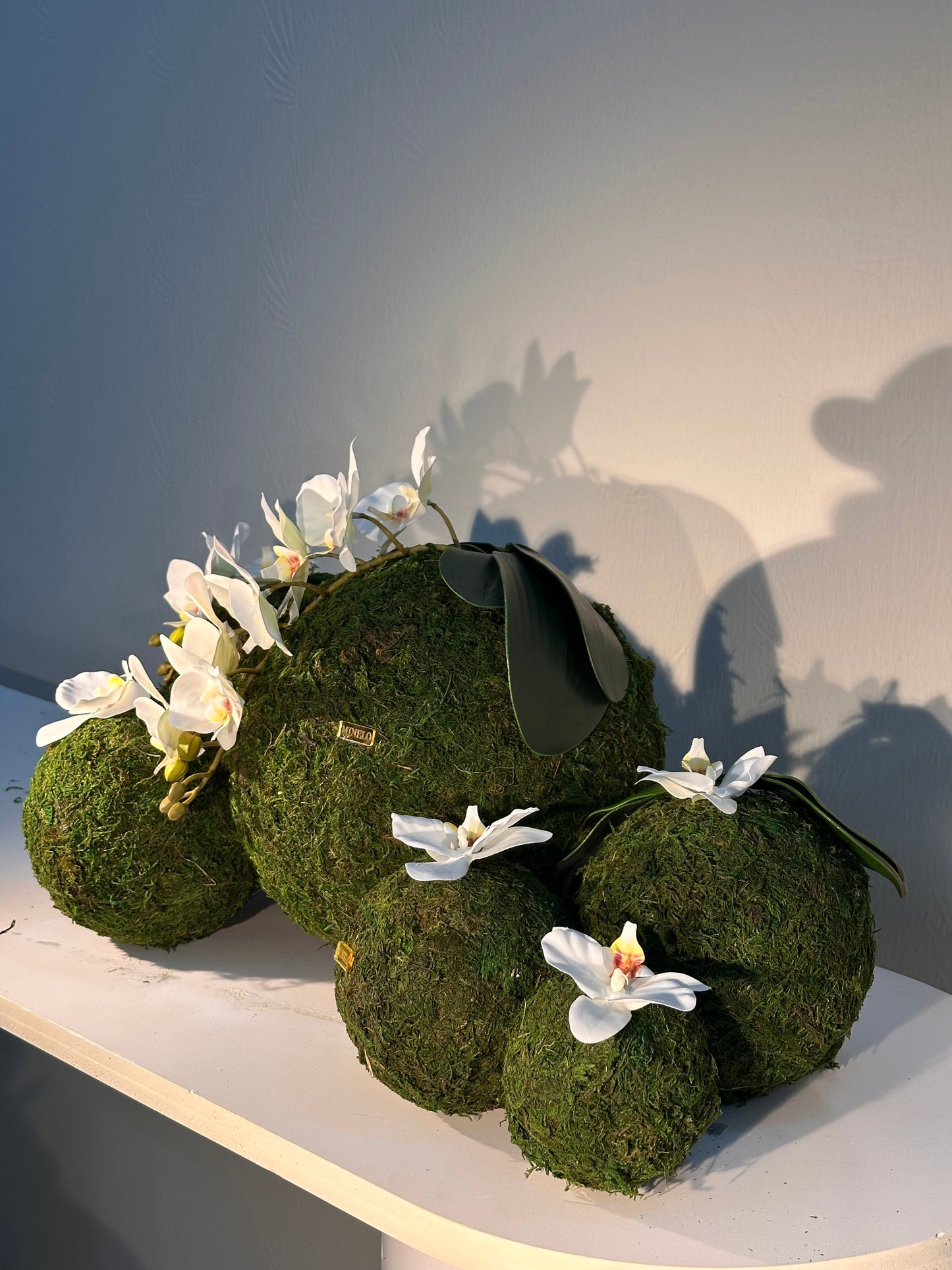 White orchid set