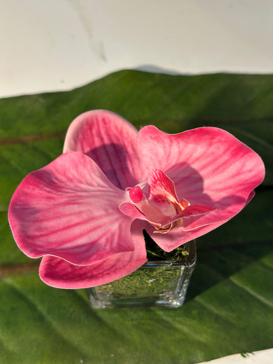Tray Mini pink orchid