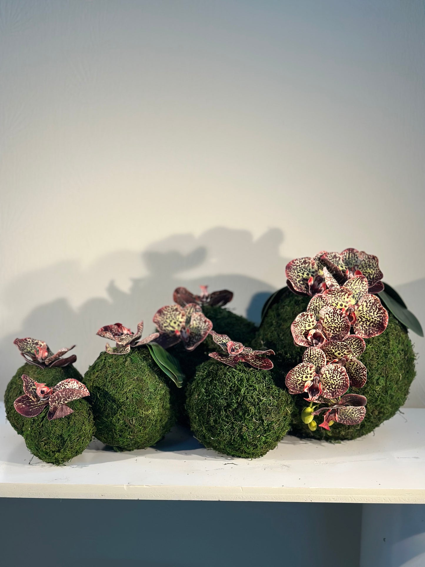 Maroon&green orchid set