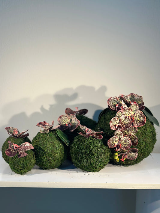 Maroon&green orchid set