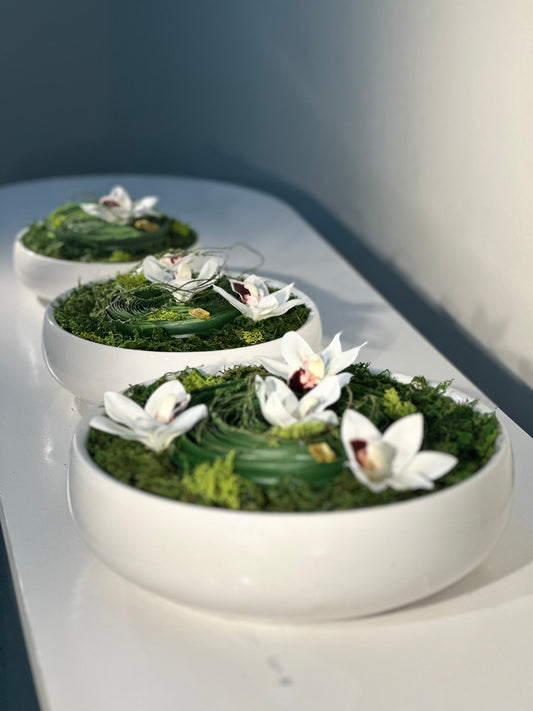 3 pots set